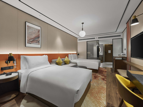 拉萨天峰希尔顿花园酒店主图