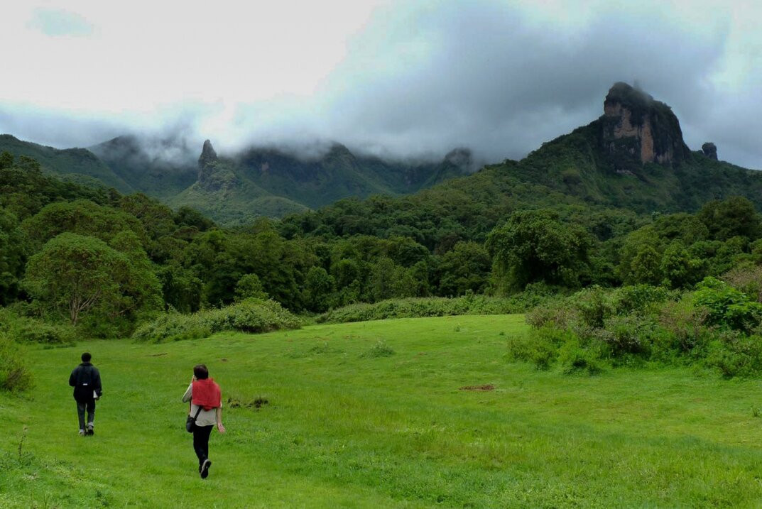 Bale Mountains National Park-亚的斯亚贝巴必去景点
