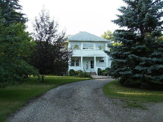 The White House主图