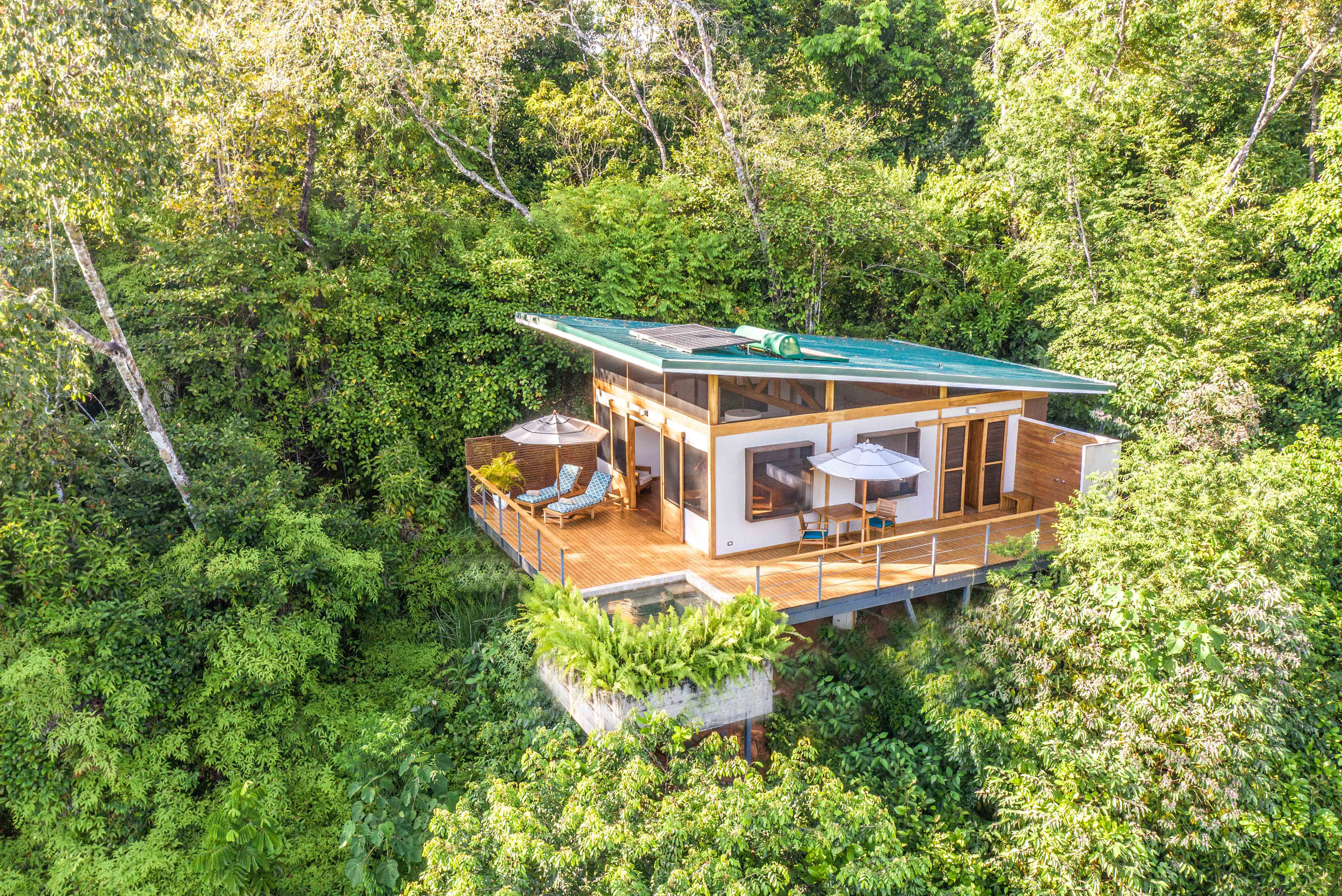 El Remanso Rainforest Lodge-官方
