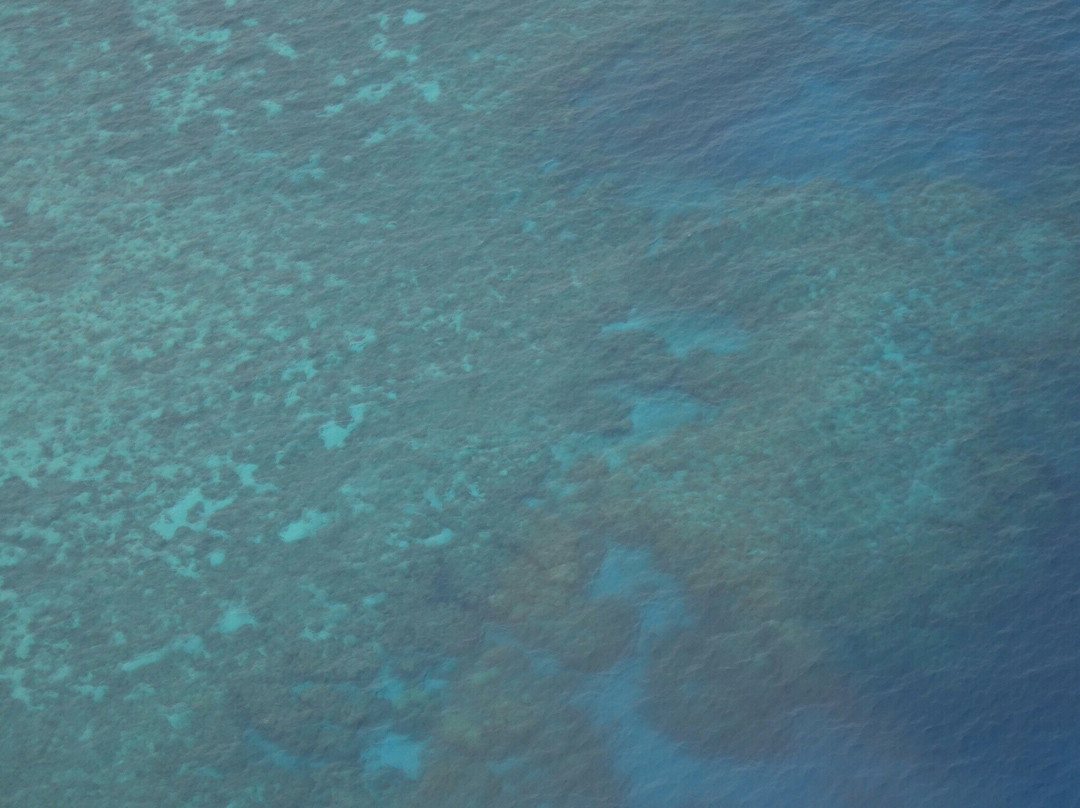 Cairns Scenics景点图片