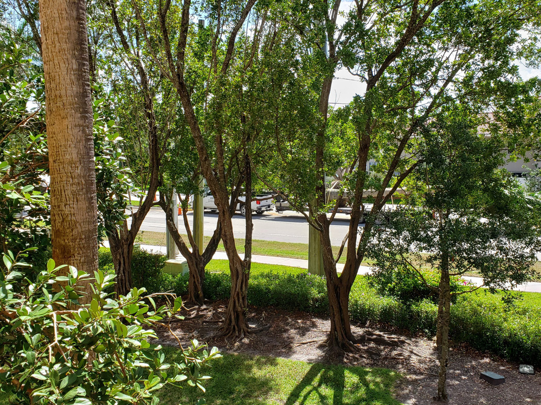 Vacation Village at Weston主图