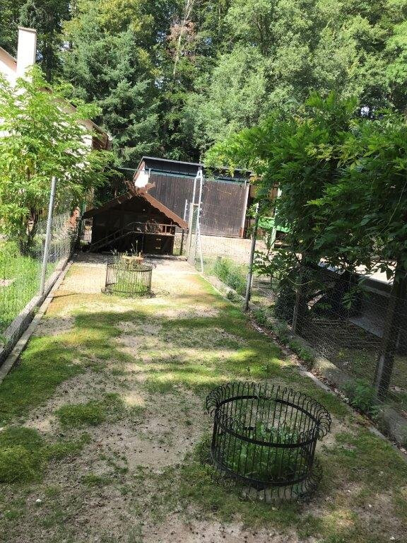 Tiergehege im Sahn Park-Crimmitschau必去景点