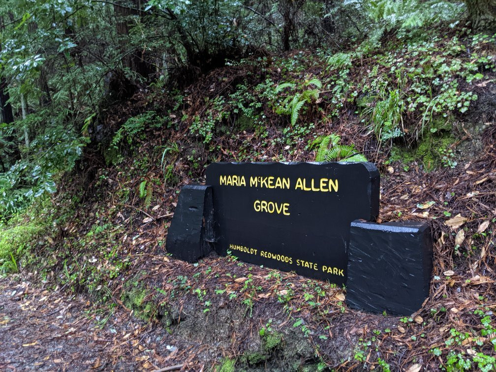 Humboldt Redwoods State Park景点图片