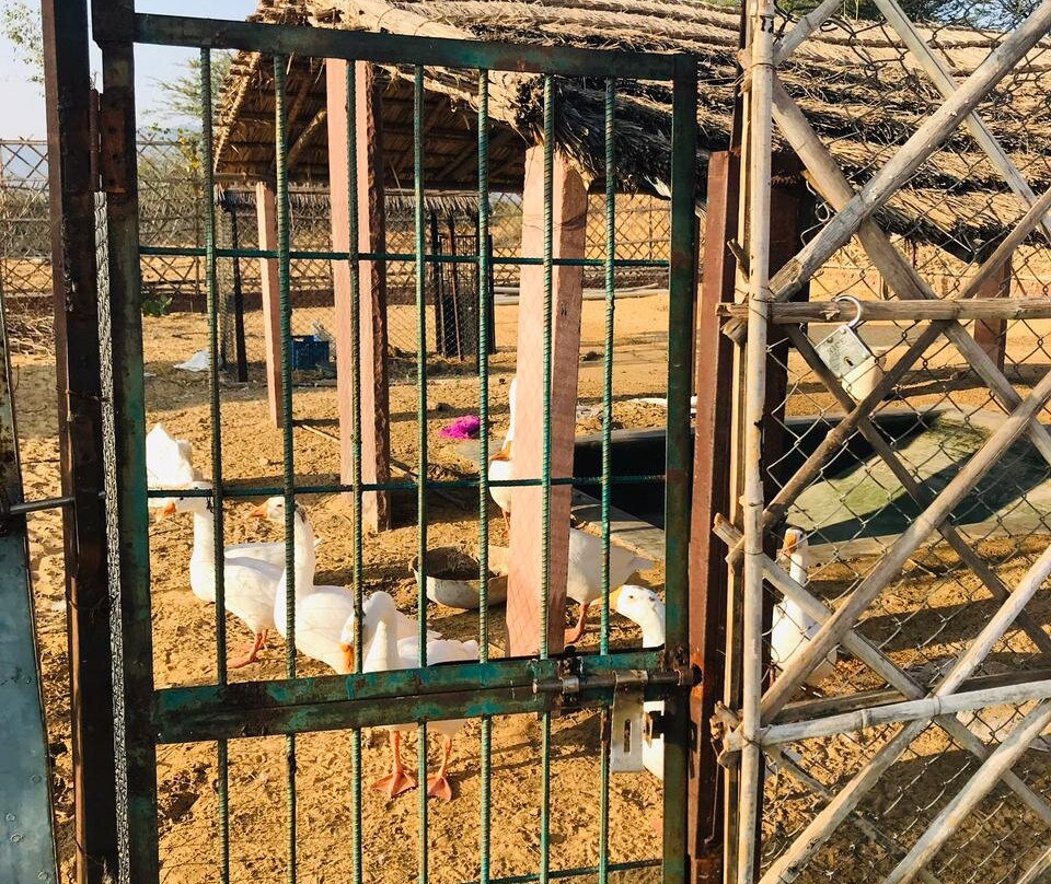 Aaram Baagh Pushkar主图