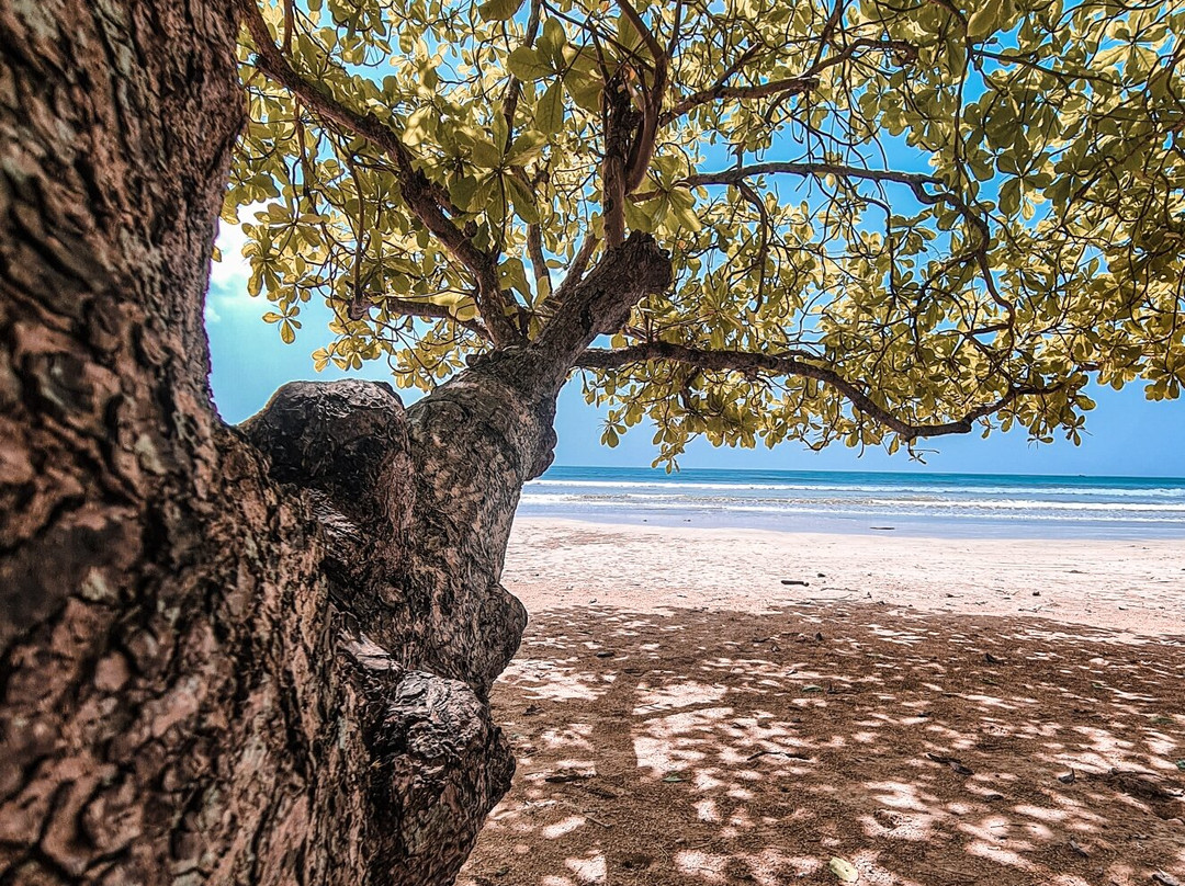 Weligama Beach-瓦勒迦玛必去景点