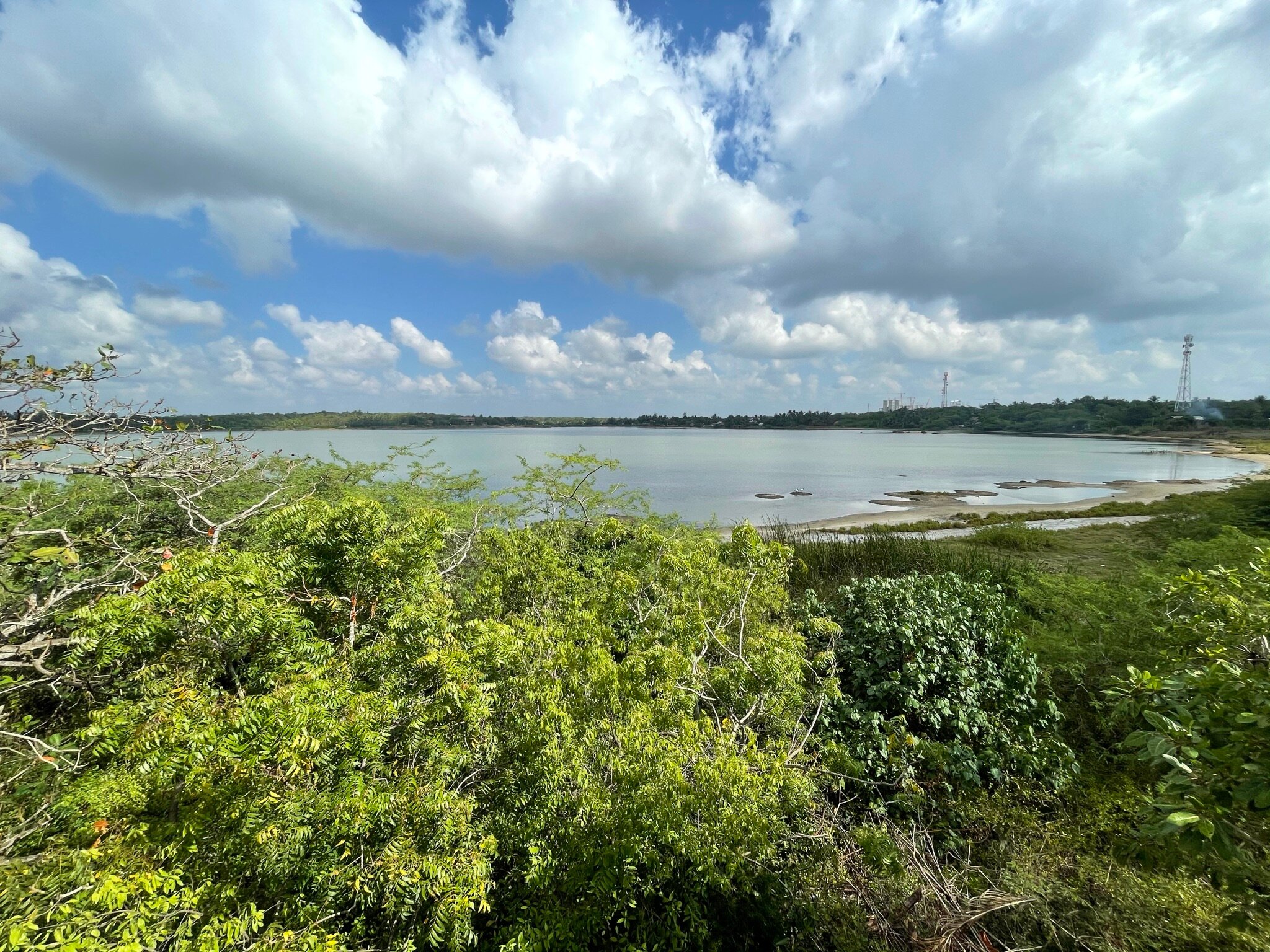 The Oasis Ayurveda Beach Resort-泳池