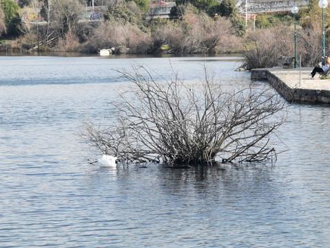 Embalse De Los Rosales-Galapagar必去景点