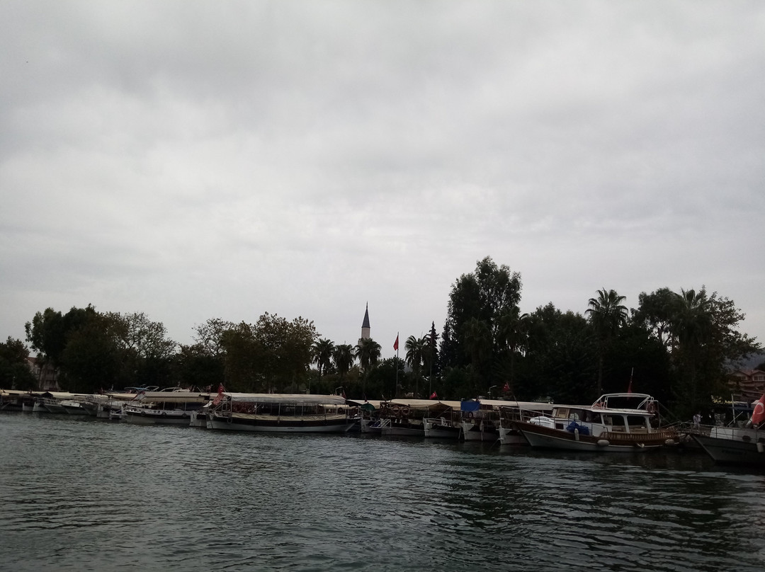 Dalyan Nehri景点图片