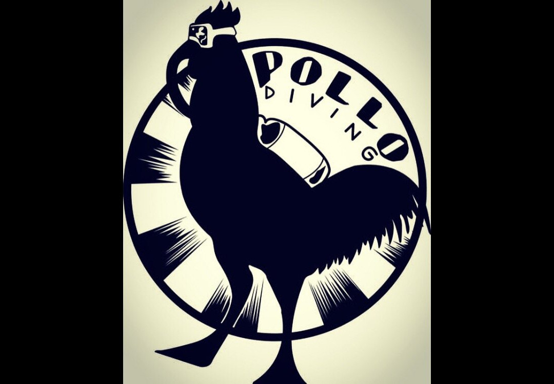 Pollo Diving ASD-Porto Pollo必去景点