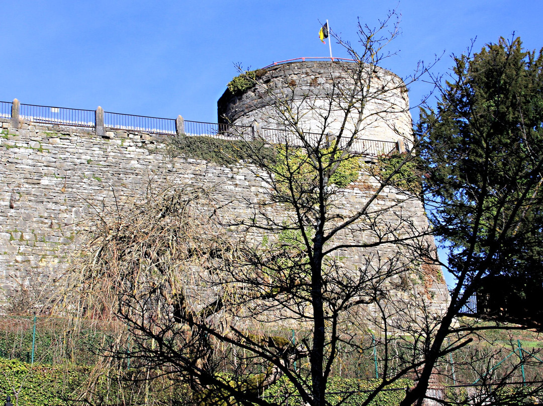 Ruins of the Castle of the Counts景点图片