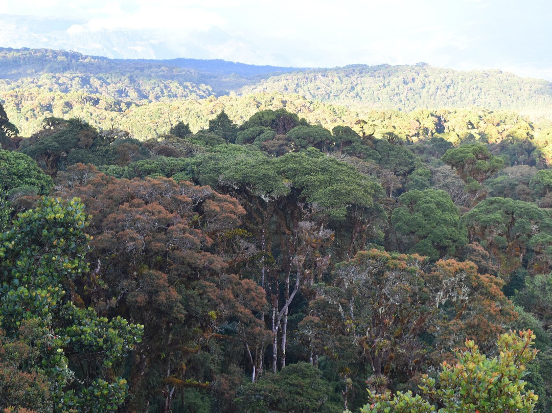 Laguna la Tarea-Zetaquira必去景点