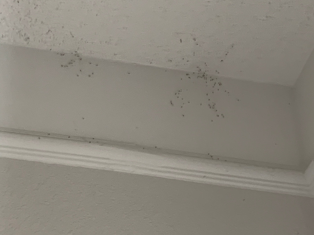 La Quinta Inn & Suites by Wyndham Orem University Parkway / Provo主图