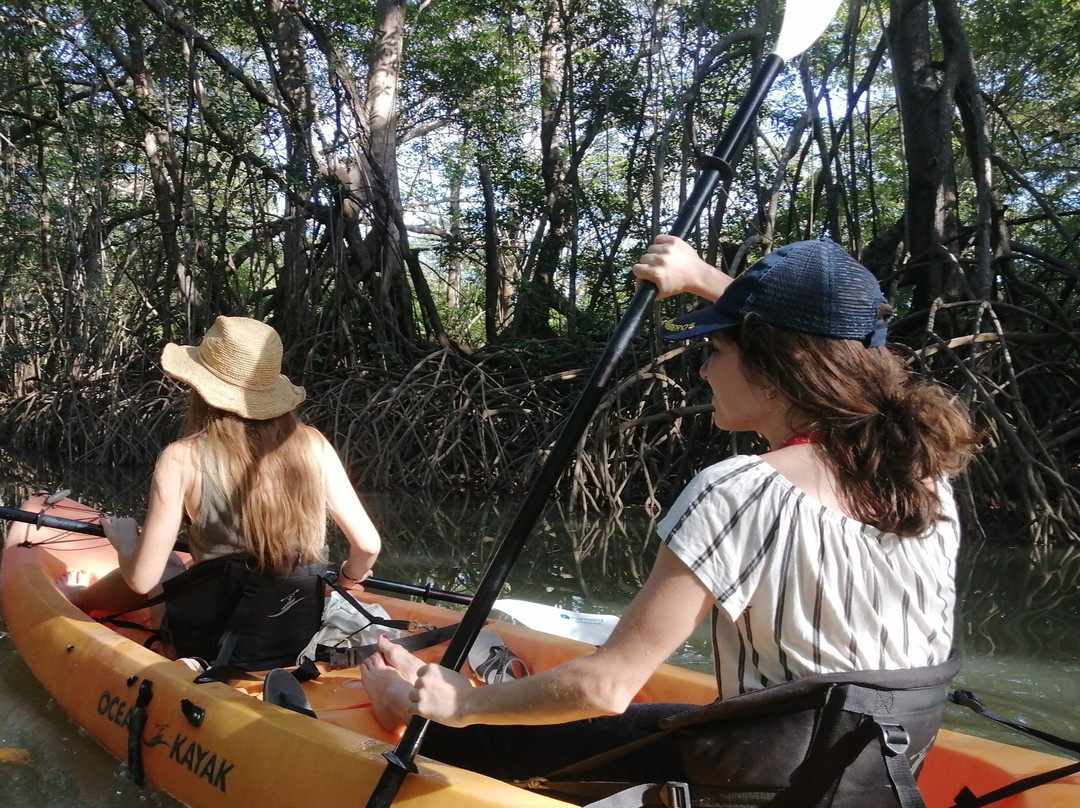Nature Tours Gabriela景点图片