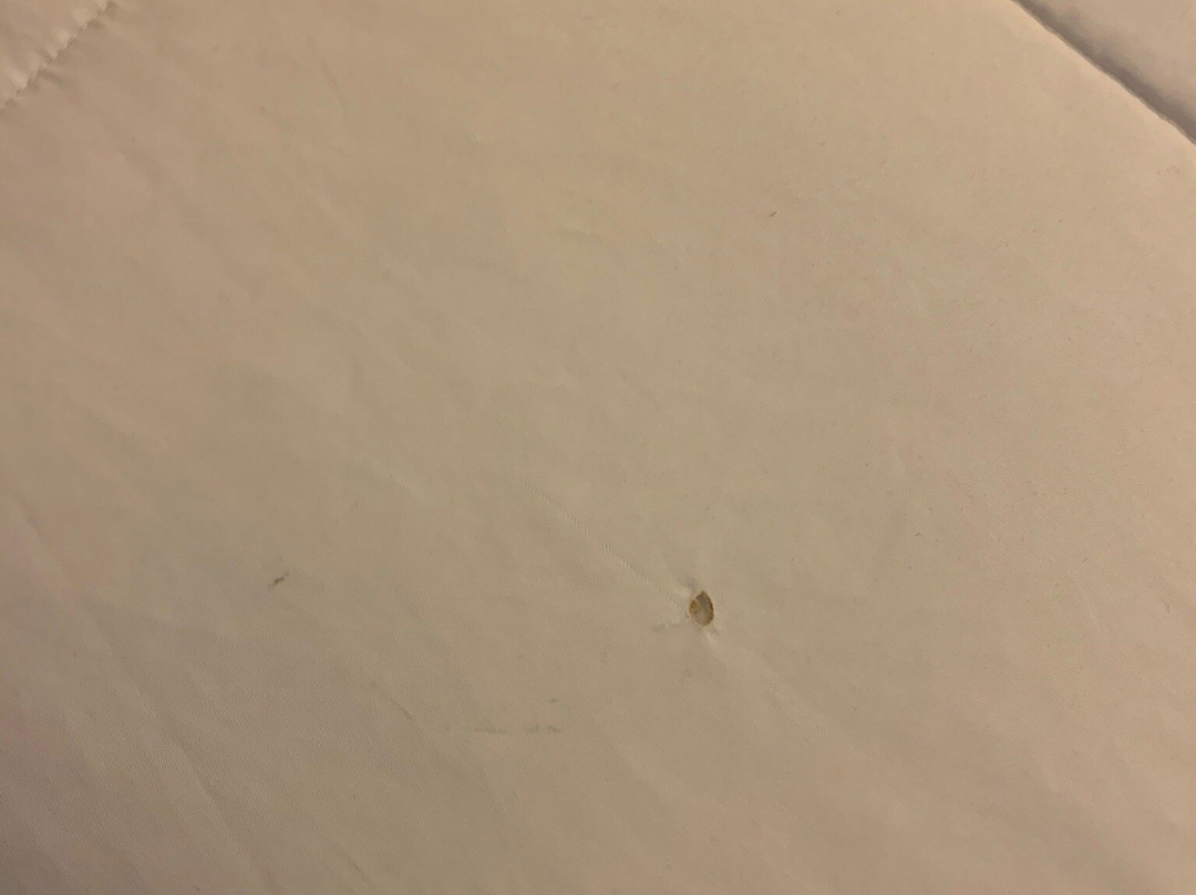 Hotel M, Mount Pocono主图