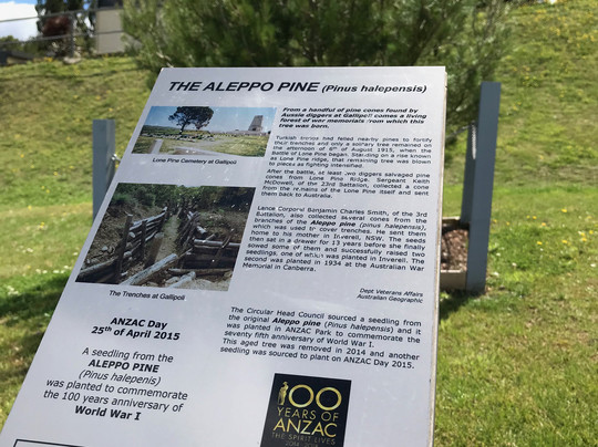 Anzac Park-Smithton必去景点