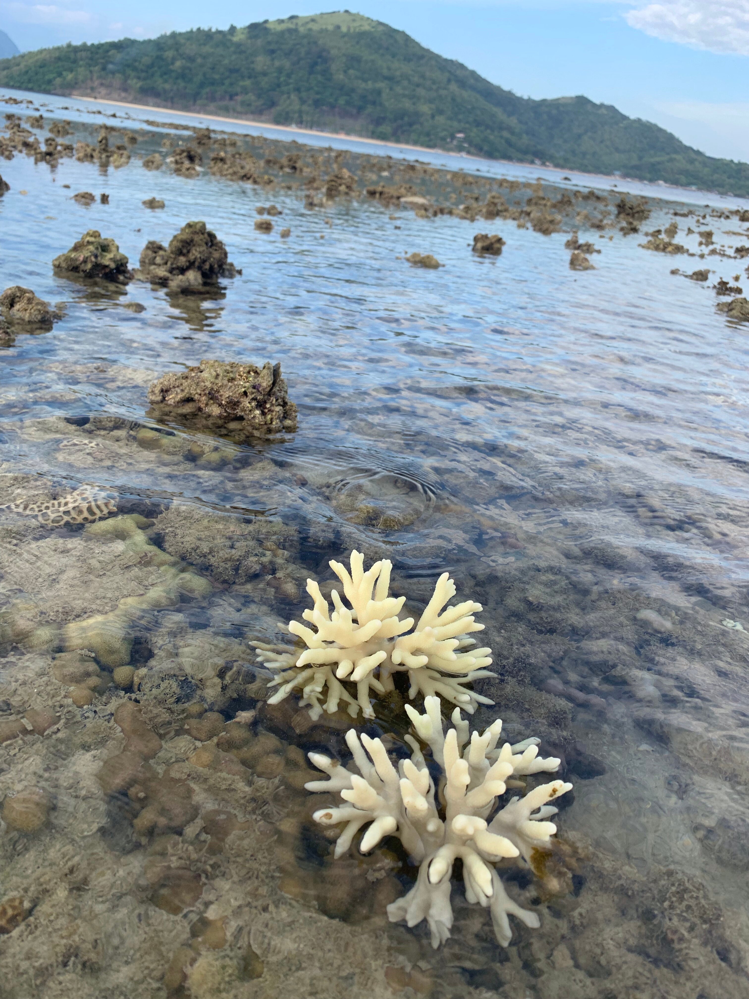 Sandbar Beach Resort-泳池