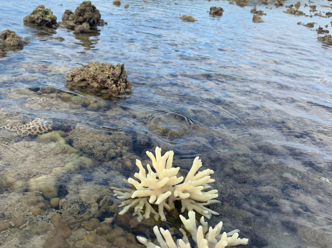 Sandbar Beach Resort主图