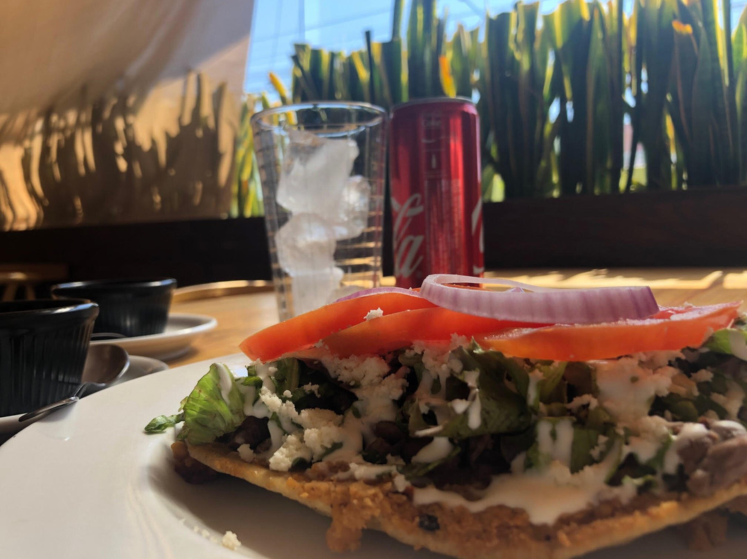 假日酒店度假村主图