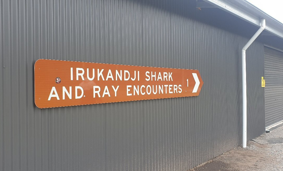 Irukandji Shark & Ray Encounters景点图片