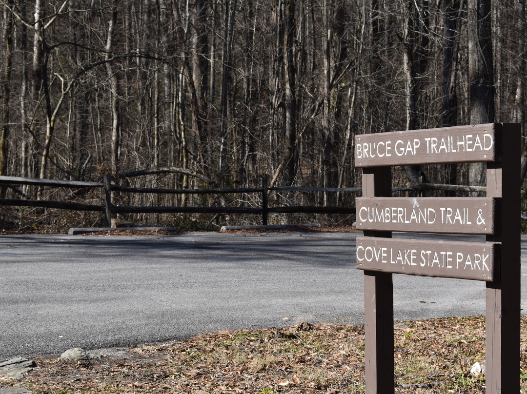 Holiday Inn Express & Suites Caryville By IHG主图