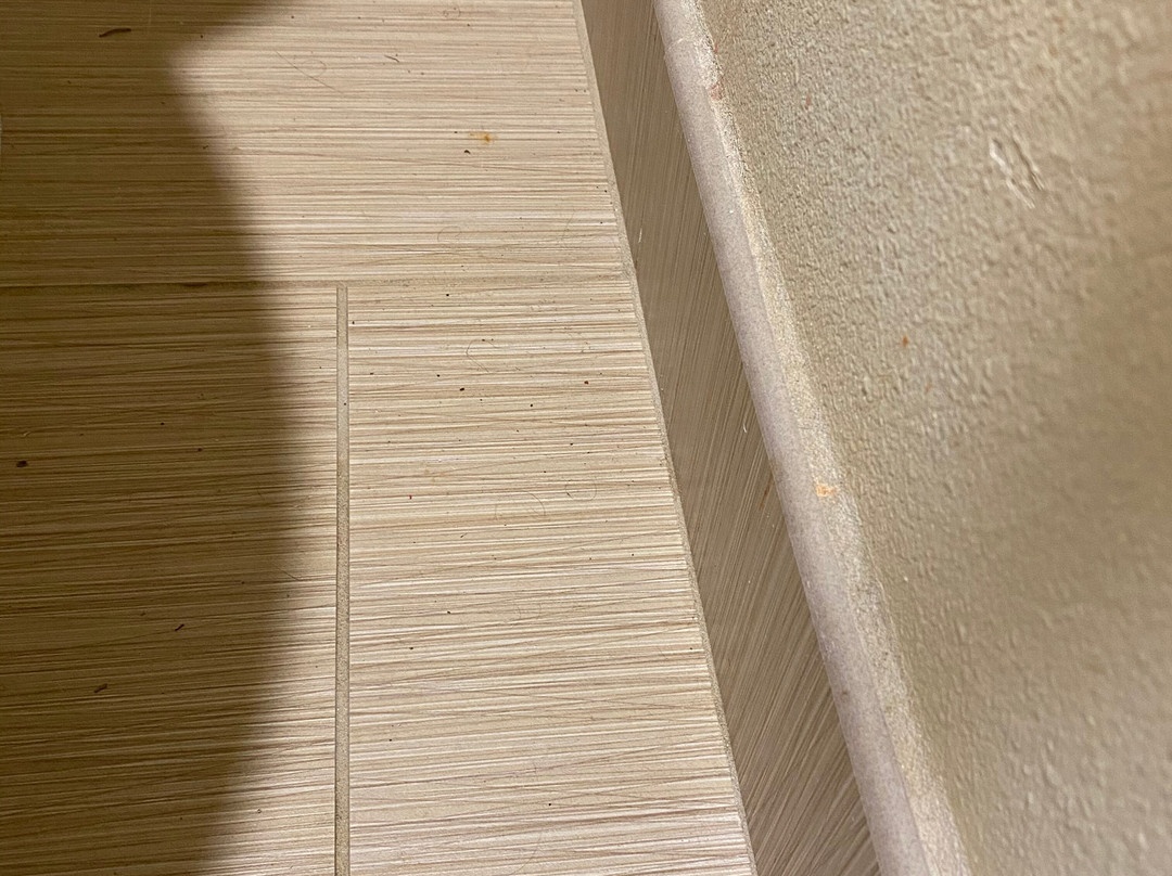 Comfort Inn & Suites主图