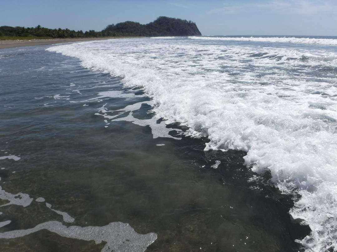 Playa Buena Vista景点图片