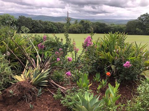 Rissington Inn主图