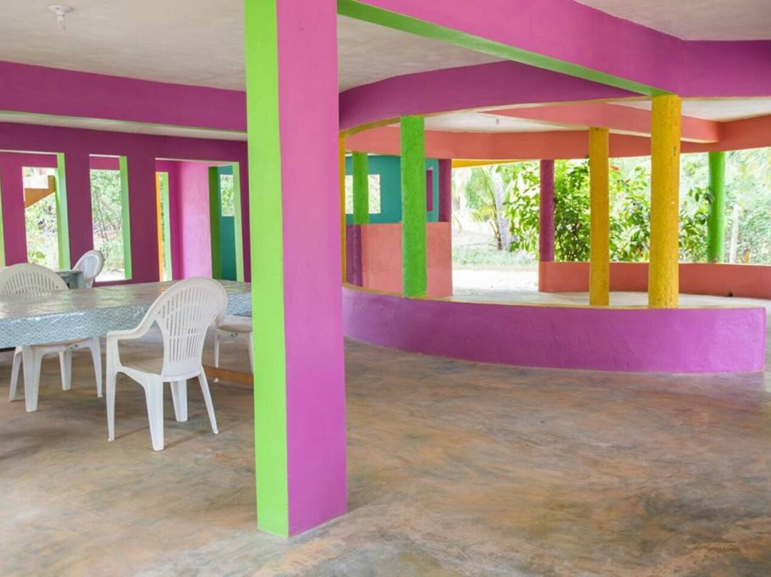 Diaspora Psychedelic Society-瑰宝滩必去景点