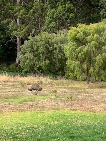 Rainbow Trail Chalets-酒店景观