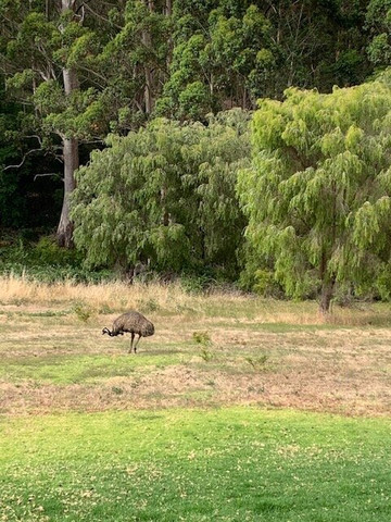 Rainbow Trail Chalets主图