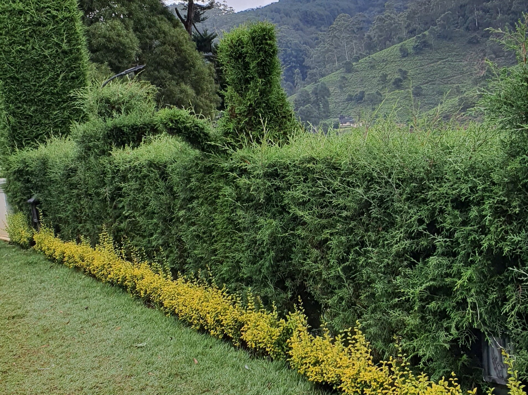 克洛弗利别墅主图