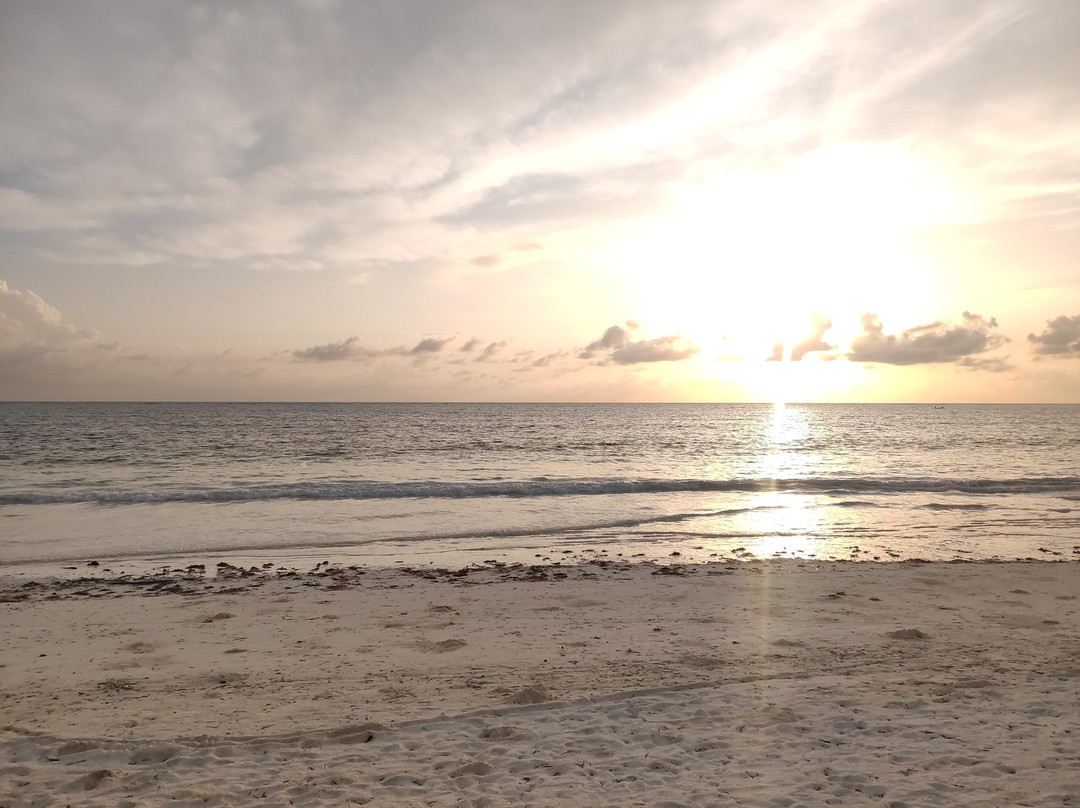 Mchanga Zanzibar主图