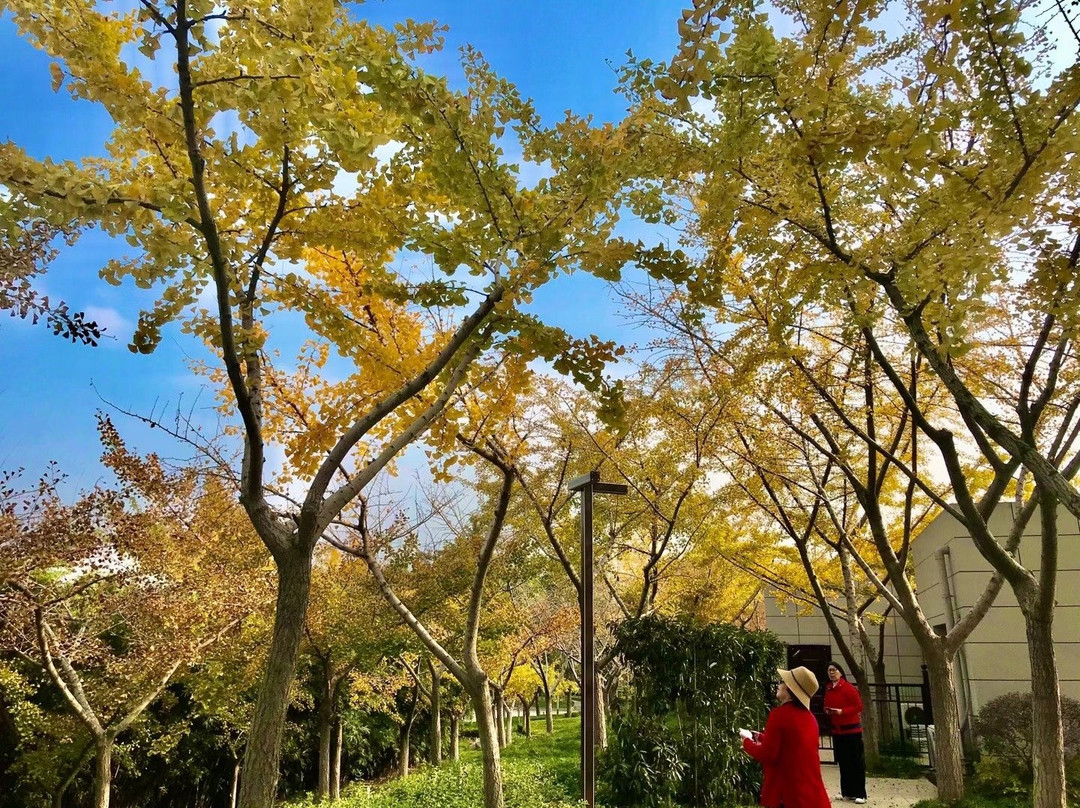 江都水利景区-江都市必去景点