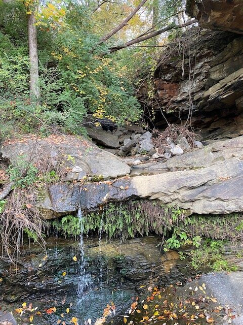 Red Roof Inn Birmingham South主图