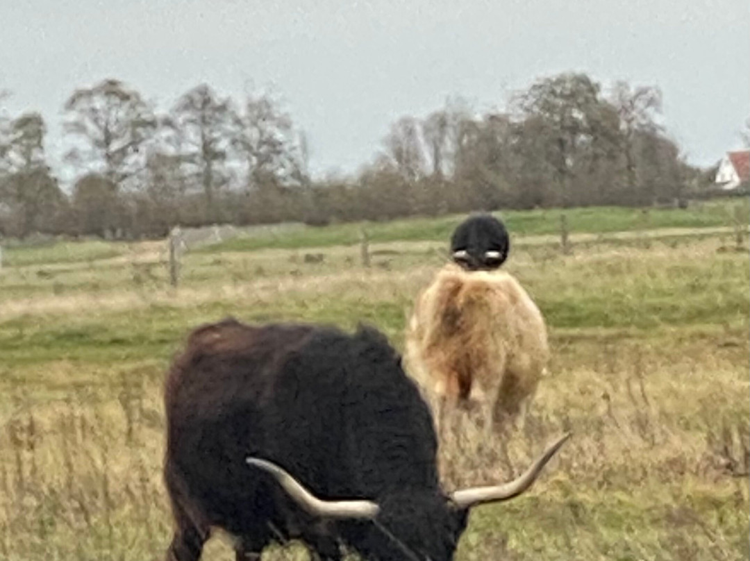 卢加诺酒店主图