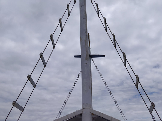 Cavalo Marinho Turismo Náutico-阿拉伊阿尔港必去景点