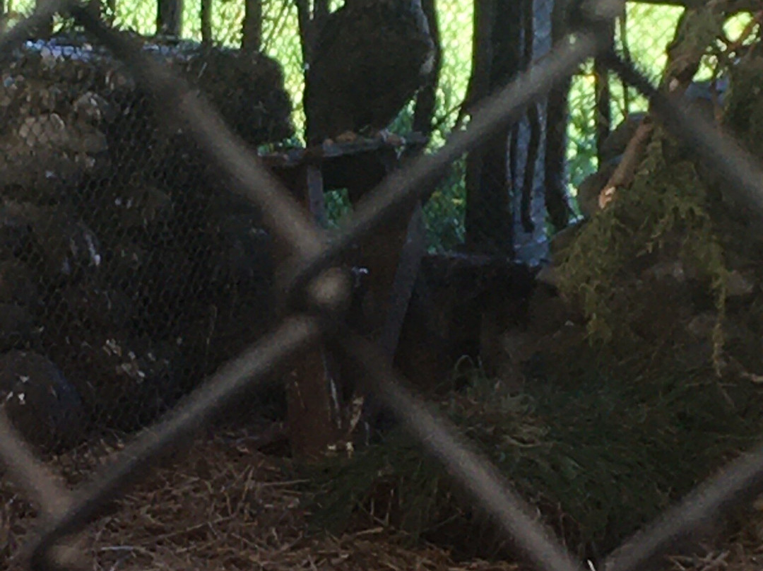 Romahue-巴拉斯港必去景点