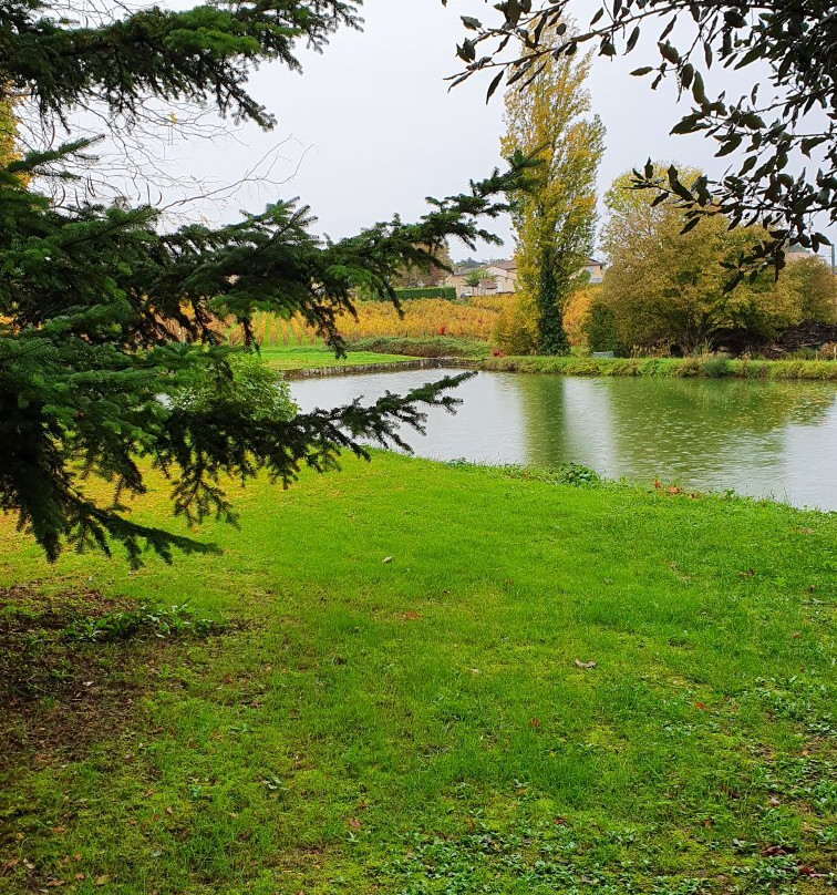 Chateau Panet, Vignobles Carles景点图片