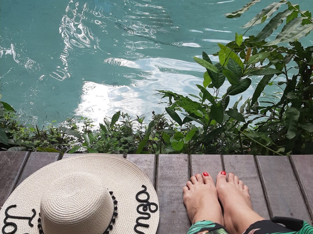 Fervedouro Bela Vista-Sao Felix do Tocantins必去景点