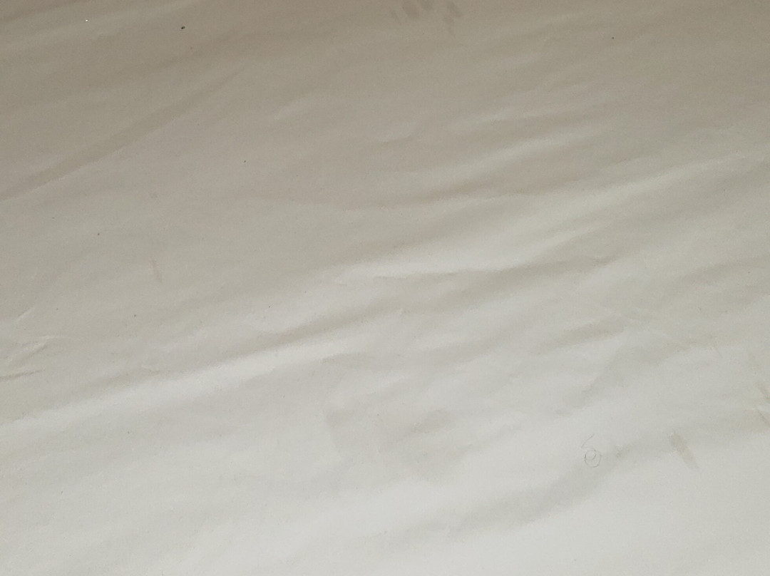 Country Inn & Suites by Radisson, Portland, TX主图