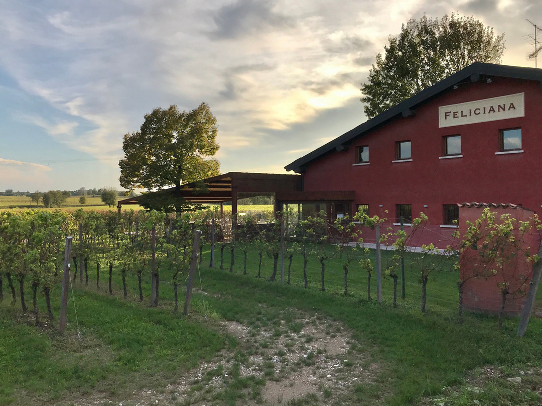 Agriturismo Feliciana主图