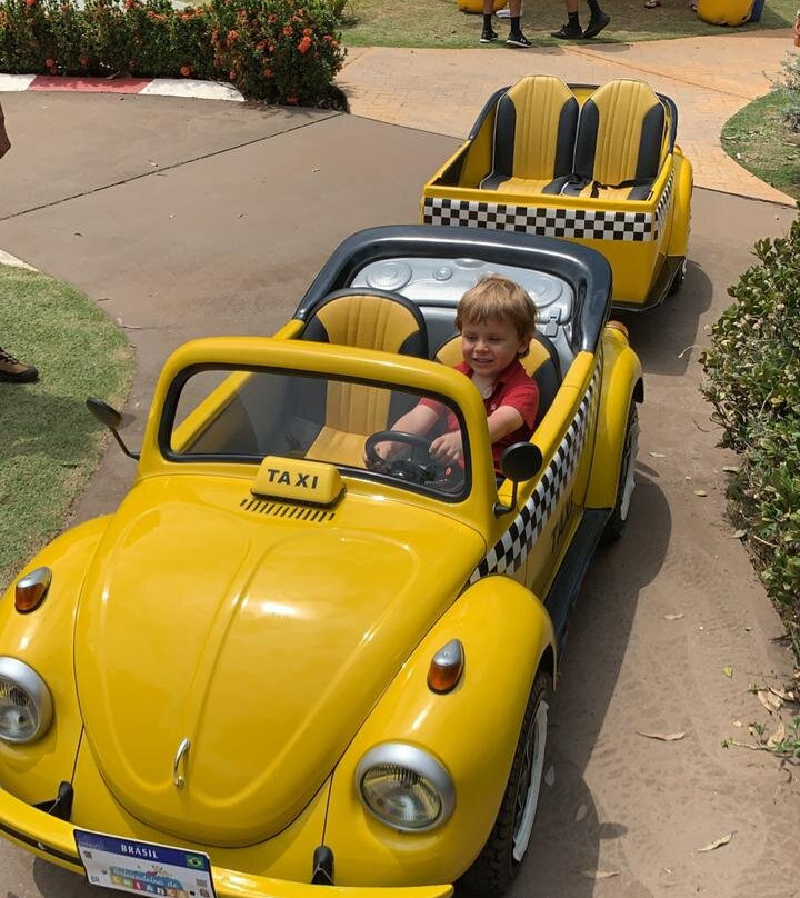 Royal Palm Plaza Resort Campinas主图