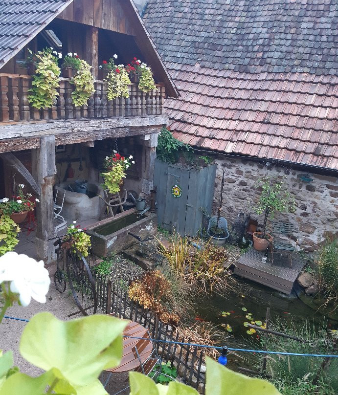 Maison Gambrinus主图