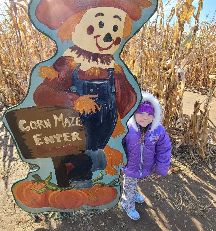 Polly's Pumpkin Patch-Chilton必去景点