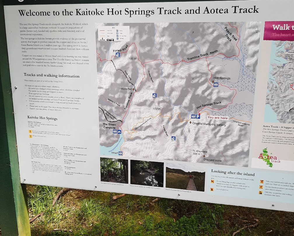 Kaitoke Hot Springs景点图片