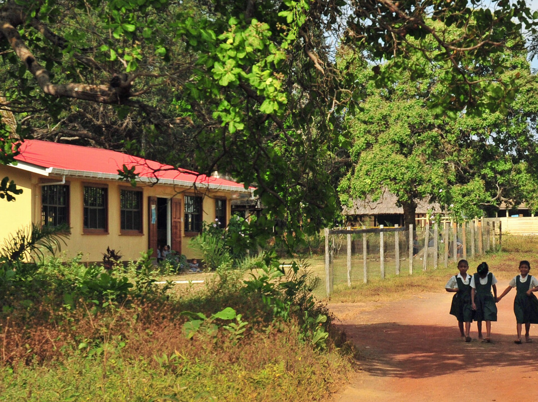 Yupukari旅游攻略图片
