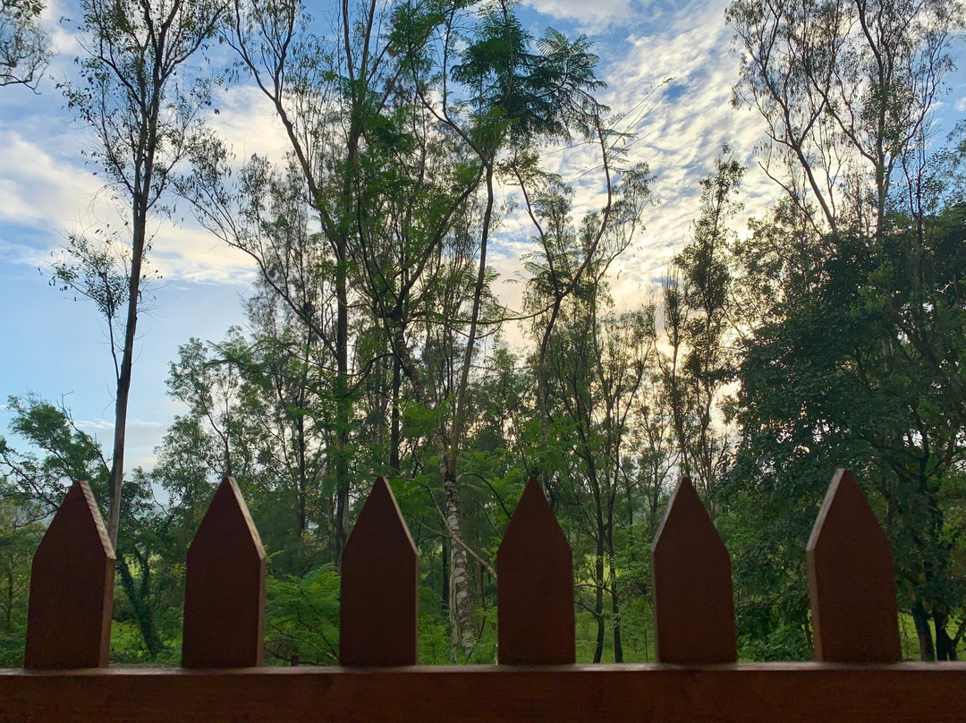 The Jungle Resort Amba主图