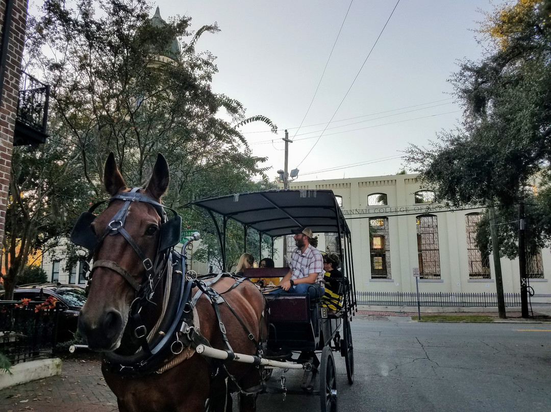 Carriage Tours of Savannah景点图片