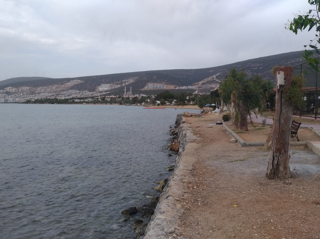 Akbuk Plajı景点图片